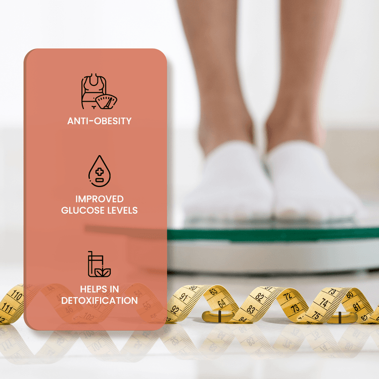 Lose Your Weight with Black seed oil