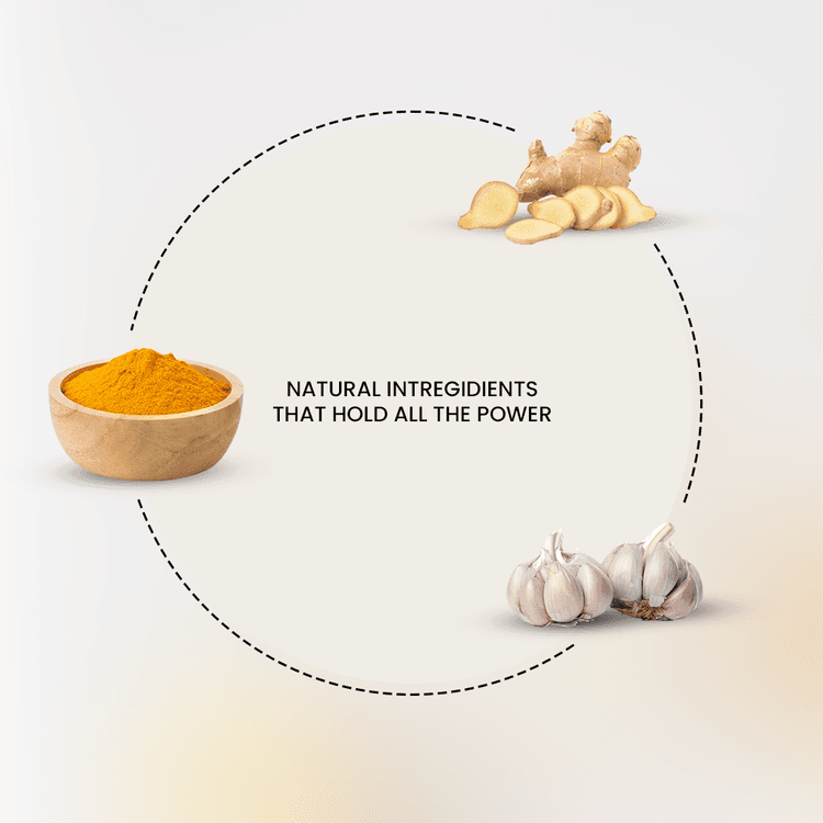 Turmeric ginger and garlic capsule support your digestion